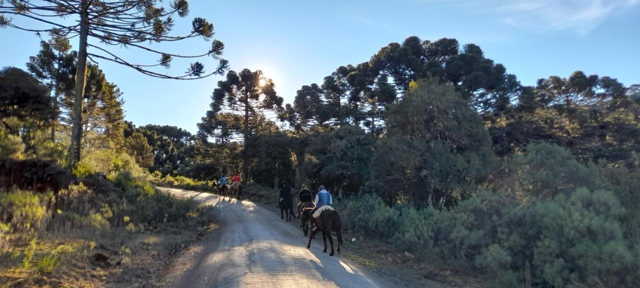 Cabanas Fazenda Rancho Alegre Urubici Mundo Novo  外观 照片