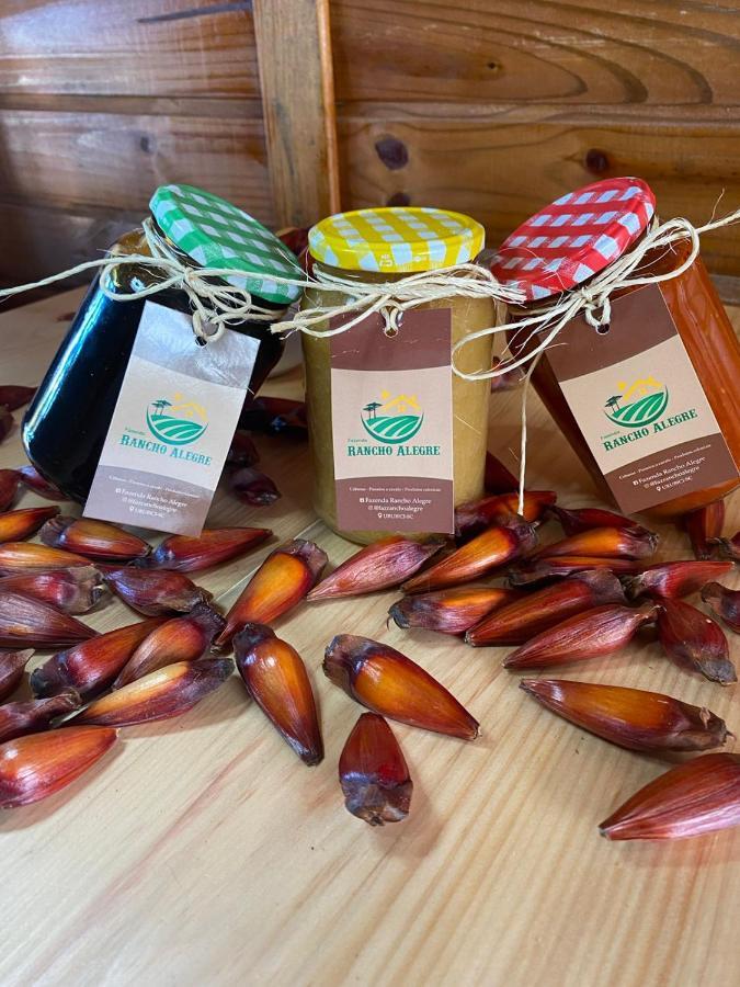 Cabanas Fazenda Rancho Alegre Urubici Mundo Novo  外观 照片